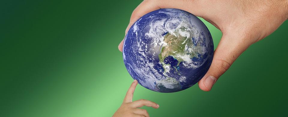 Focus on The Environment - illuminated