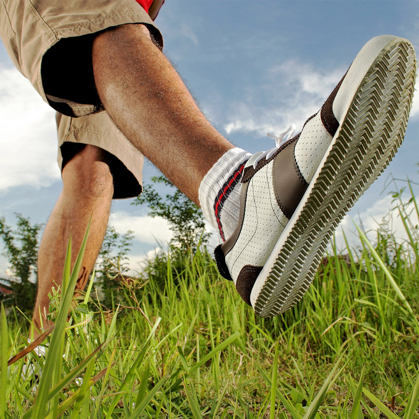 Quarter Ankle Socks - illuminated