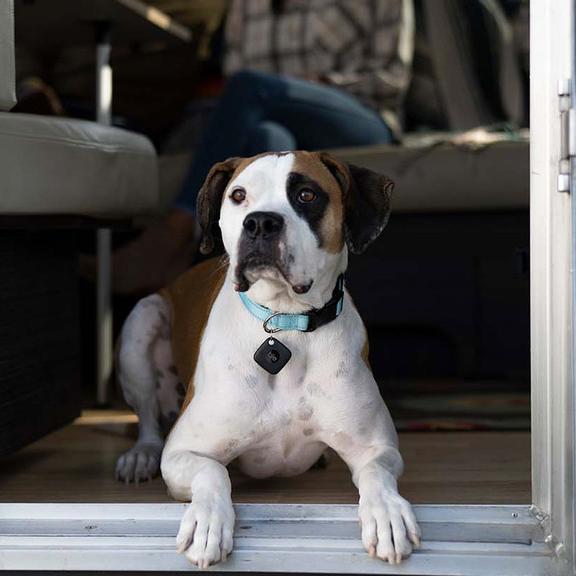 Tile Mate - illuminated