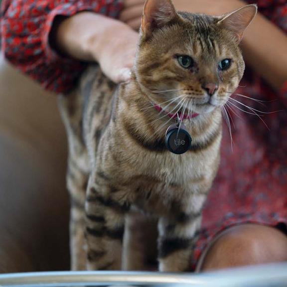 Tile Sticker - illuminated