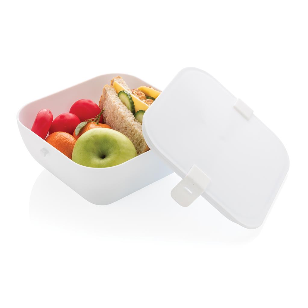 PP lunchbox square - illuminated