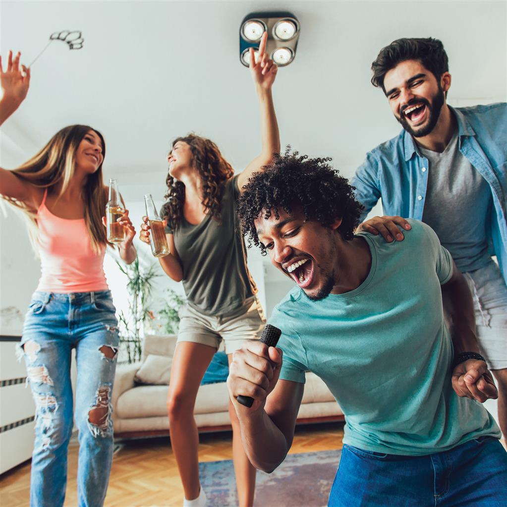 SingVibe Karaoke Set 10 p331.0601  402